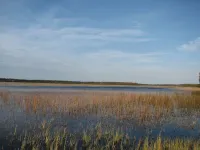 Особо охраняемая природная территория «Болото Пырское с озером Пырским» (ООПТ «Болото Пырское с озером Пырским»)